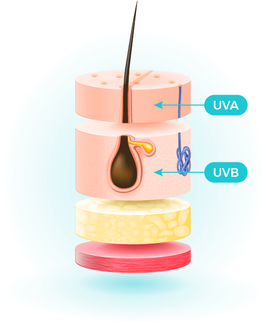 szkodliwe promieniowanie ultrafioletowe UVA i UVB